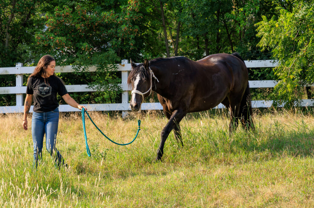 Horse handling lesson at Sebree Meadows equestrian experiences in Kansas
